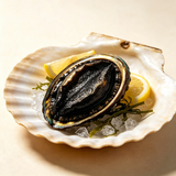 Ready-to-Eat Frozen In-Shell Abalones
